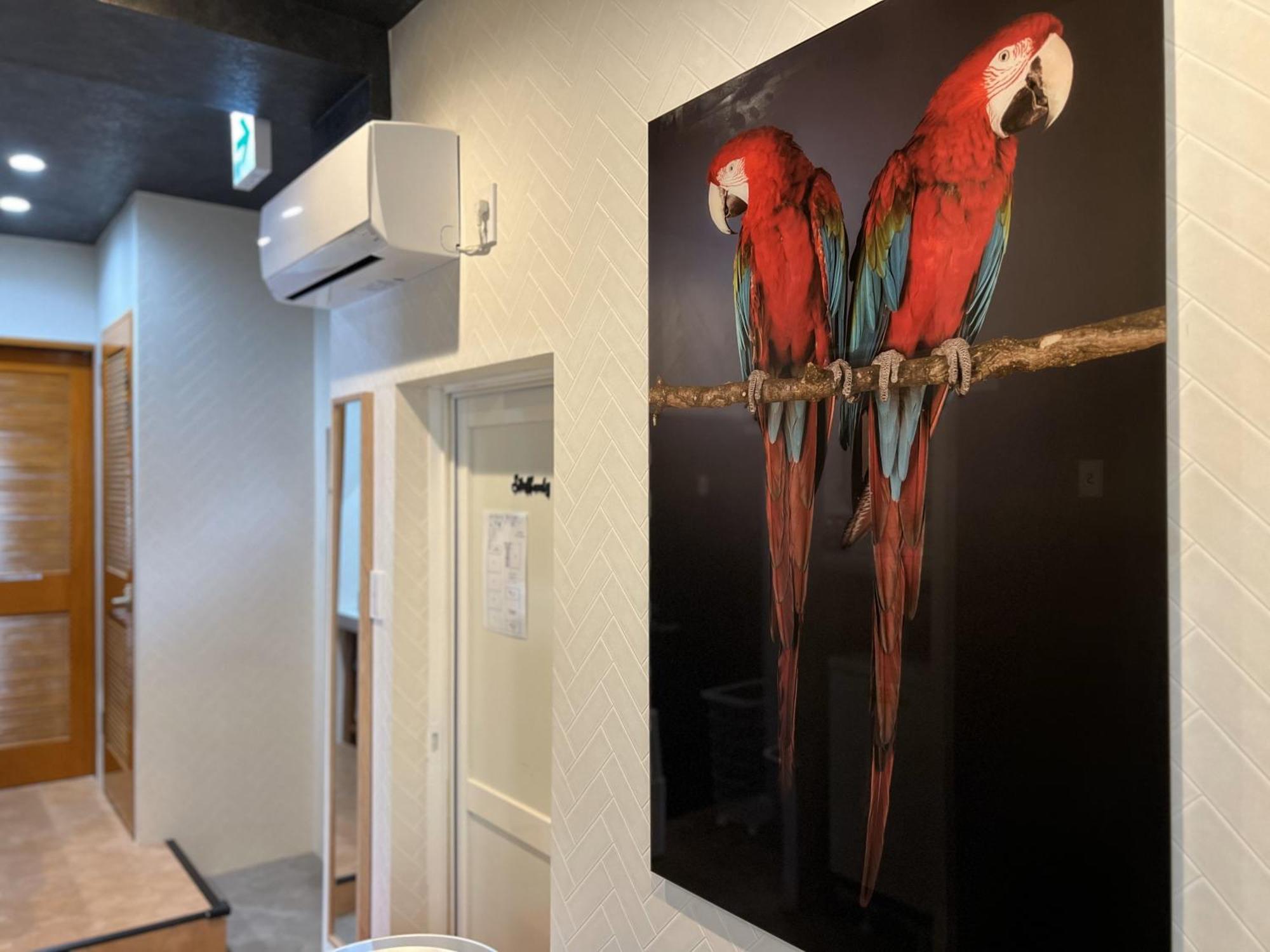 ゲストハウス Joooy Hotel 奄美 Amami Bagian luar foto